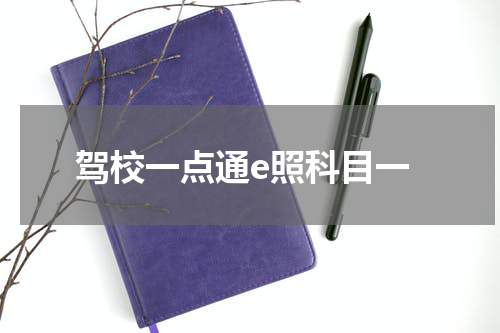 驾校一点通e照科目一