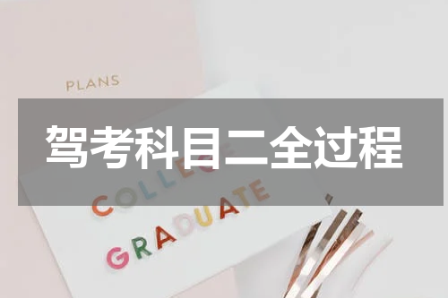 驾考科目二全过程