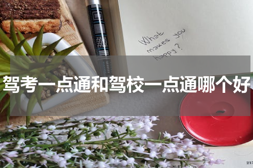 驾考一点通和驾校一点通哪个好