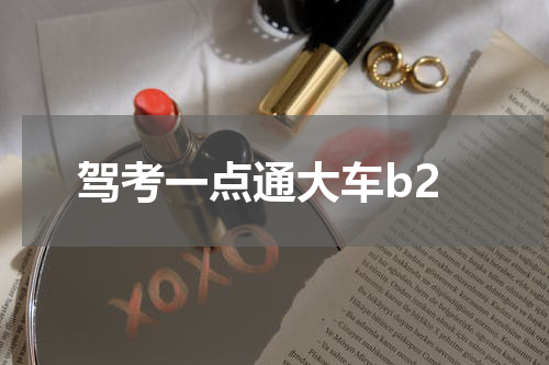 驾考一点通大车b2