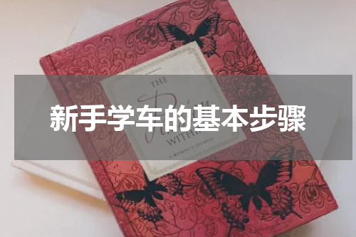 新手学车的基本步骤