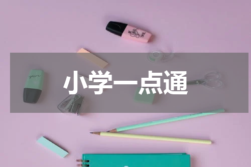 小学一点通