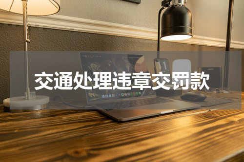 交通处理违章交罚款