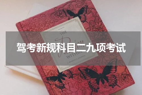 驾考新规科目二九项考试