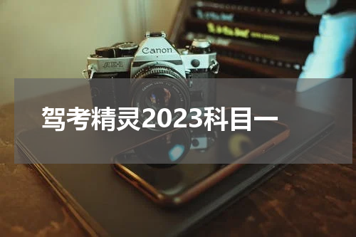 驾考精灵2023科目一