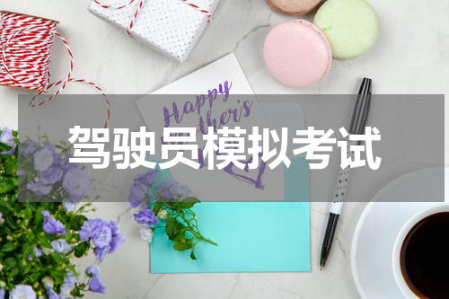 驾驶员模拟考试