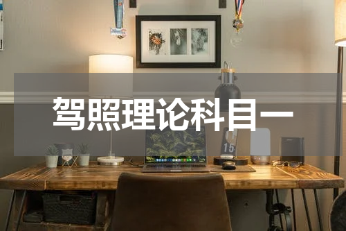 驾照理论科目一