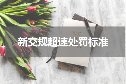 新交规超速处罚标准