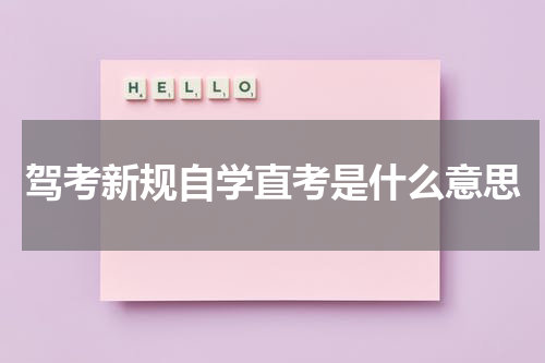 驾考新规自学直考是什么意思