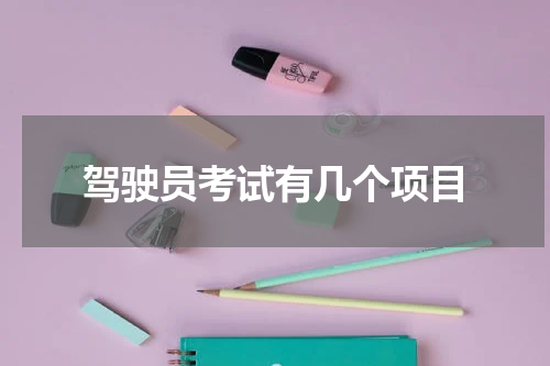 驾驶员考试有几个项目