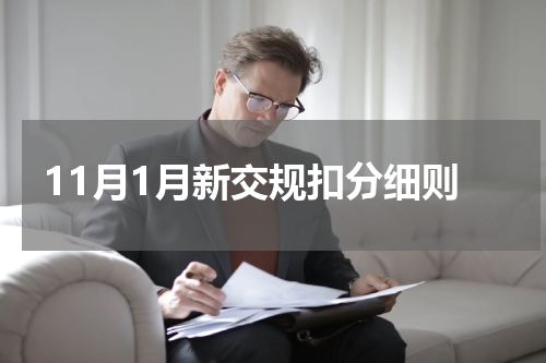 11月1月新交规扣分细则