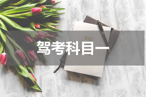 驾考科目一
