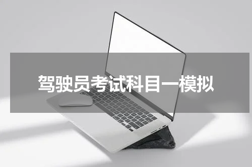 驾驶员考试科目一模拟