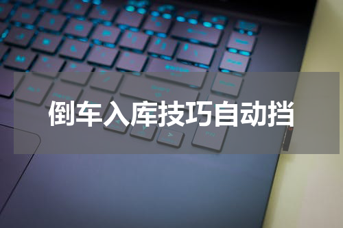 倒车入库技巧自动挡