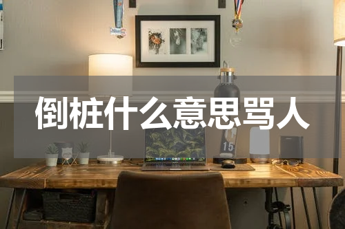 倒桩什么意思骂人