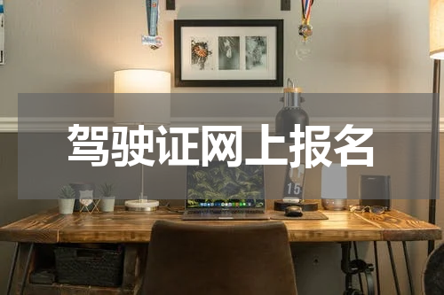 驾驶证网上报名