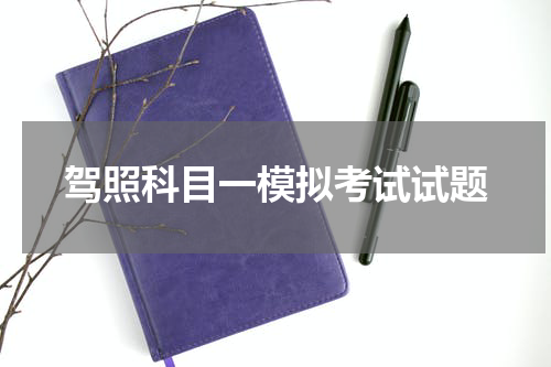驾照科目一模拟考试试题