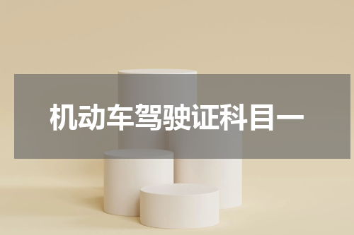 机动车驾驶证科目一
