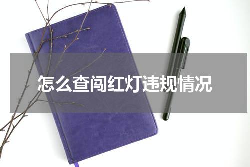 怎么查闯红灯违规情况