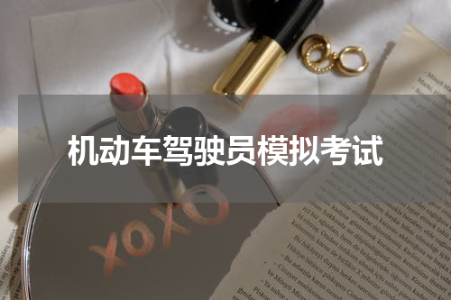 机动车驾驶员模拟考试