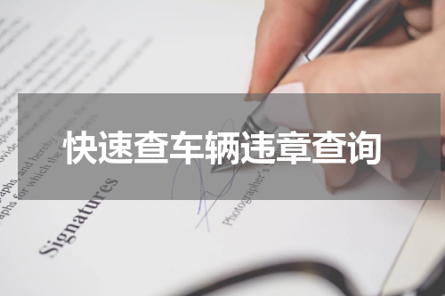 快速查车辆违章查询