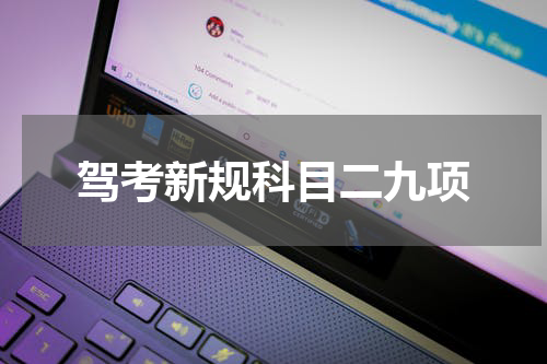 驾考新规科目二九项