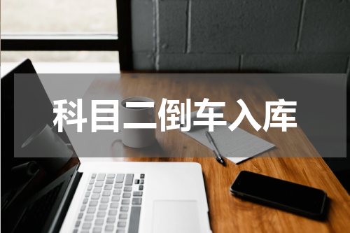 科目二倒车入库