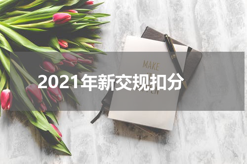 2021年新交规扣分