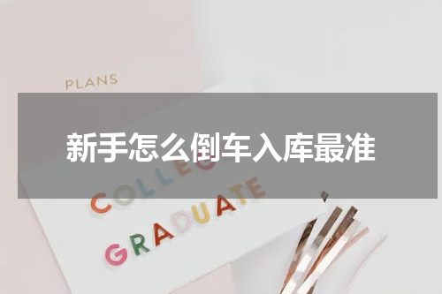 新手怎么倒车入库最准