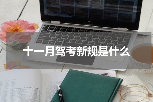 十一月驾考新规是什么