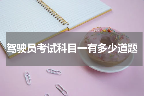 驾驶员考试科目一有多少道题