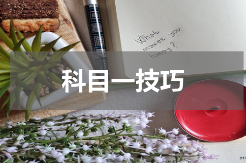 科目一技巧
