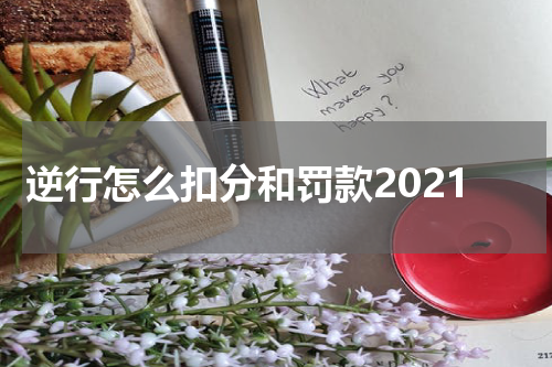 逆行怎么扣分和罚款2021