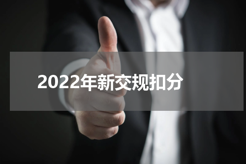 2022年新交规扣分