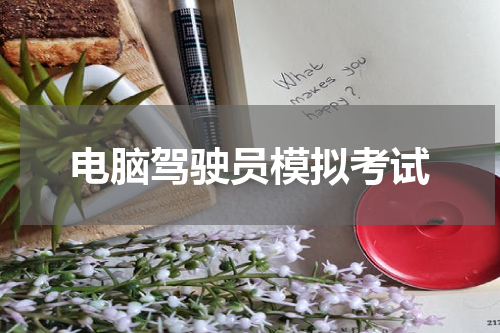 电脑驾驶员模拟考试