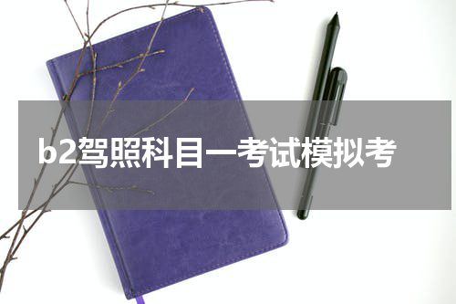 b2驾照科目一考试模拟考