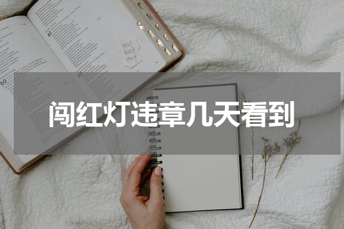 闯红灯违章几天看到