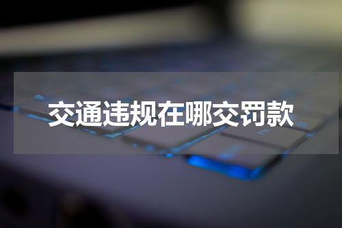交通违规在哪交罚款