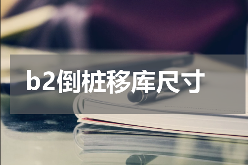 b2倒桩移库尺寸