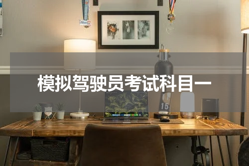 模拟驾驶员考试科目一