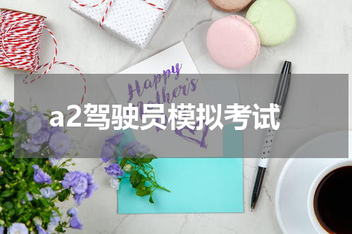 a2驾驶员模拟考试