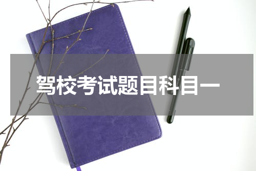 驾校考试题目科目一