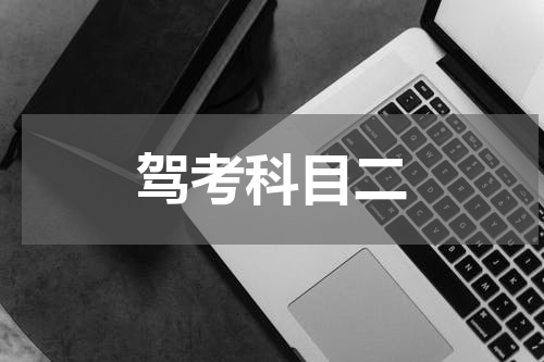 驾考科目二