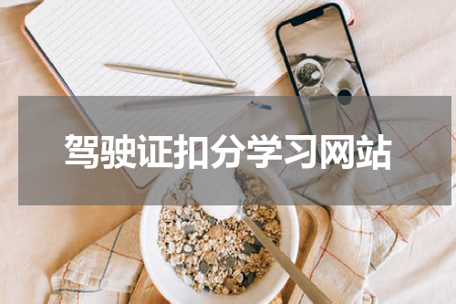 驾驶证扣分学习网站