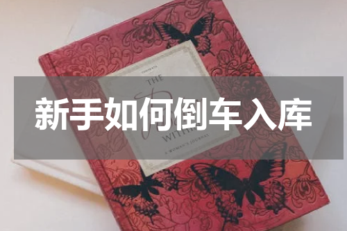 新手如何倒车入库