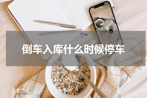 倒车入库什么时候停车