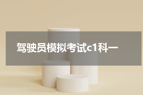 驾驶员模拟考试c1科一