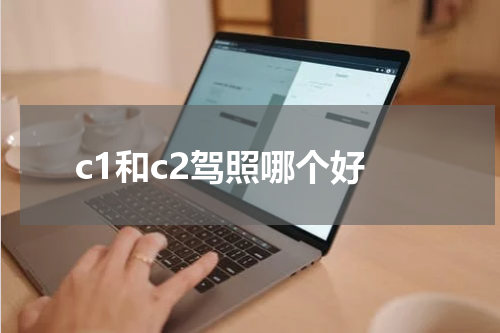 c1和c2驾照哪个好