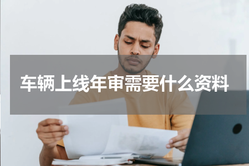 车辆上线年审需要什么资料
