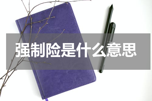 强制险是什么意思